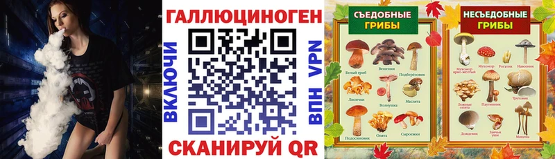 kraken зеркало  Вологда  Галлюциногенные грибы ЛСД 